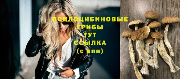 героин Алексин