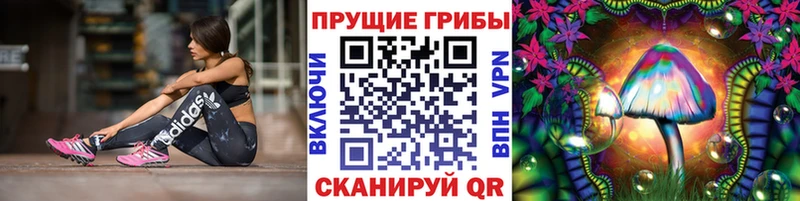 МЕГА tor  даркнет формула  Псилоцибиновые грибы Psilocybine cubensis  Щучье 