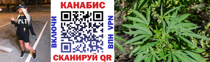 цена   Щучье  Бошки Шишки семена 